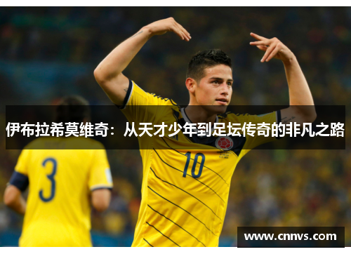 伊布拉希莫维奇：从天才少年到足坛传奇的非凡之路